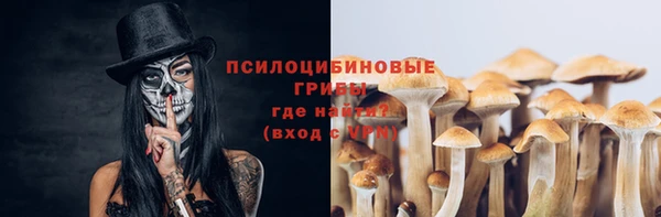 ALPHA-PVP Снежинск