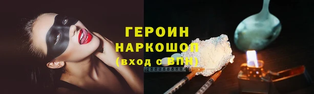 гашик Снежногорск