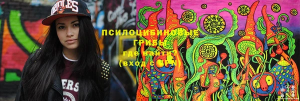 apvp Сосновый Бор