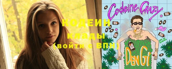 гашик Снежногорск