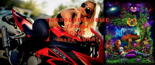 гашик Снежногорск