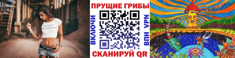 Псилоцибиновые грибы Psilocybe  Киров 