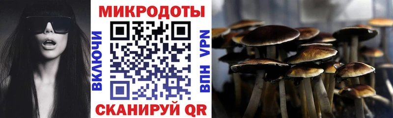 Галлюциногенные грибы MAGIC MUSHROOMS Киров